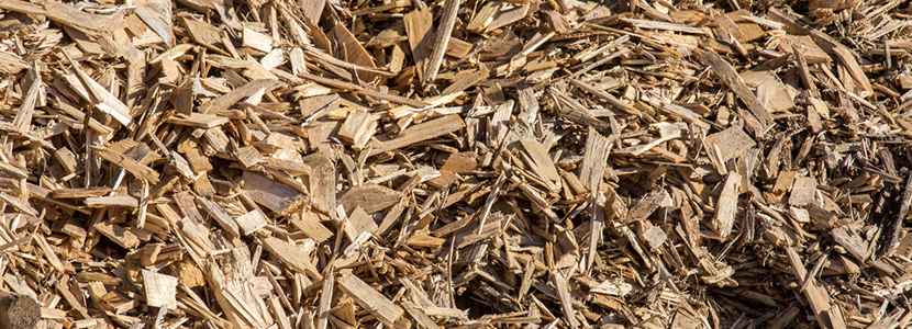 valorisation et recyclage des dechets de bois du batiment