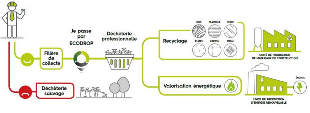 Les déchets verts : pratiques à bannir et solutions Ecodrop !