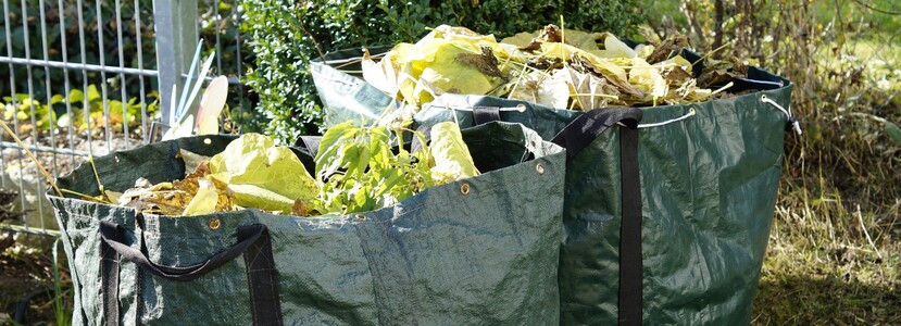 You are currently viewing Les déchets verts : pratiques à bannir et solutions Ecodrop !