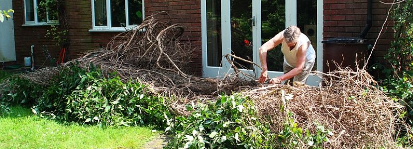 Lire la suite à propos de l’article Location de bennes déchets verts 8m3 en Ile-de-France : quels sont les tarifs ?