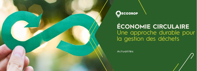 Lire la suite à propos de l’article Économie circulaire dans le bâtiment : une approche durable pour la gestion des déchets