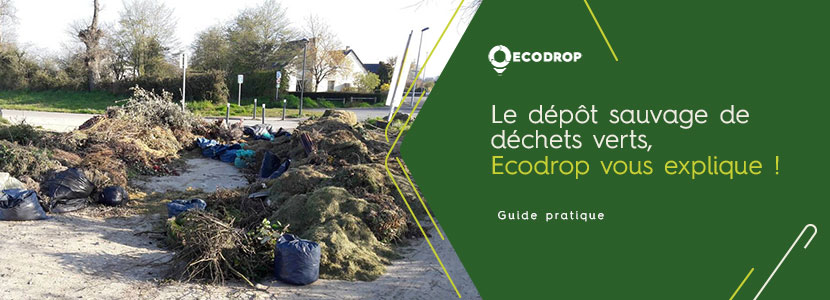 Lire la suite à propos de l’article Le dépôt sauvage de déchets verts, Ecodrop vous explique !